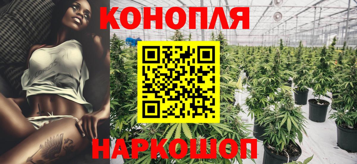 Бошки марихуана Bruce Banner  Конопля AK-47  Вход с VPN  МАРИХУАНА конопля  Великие Луки 
